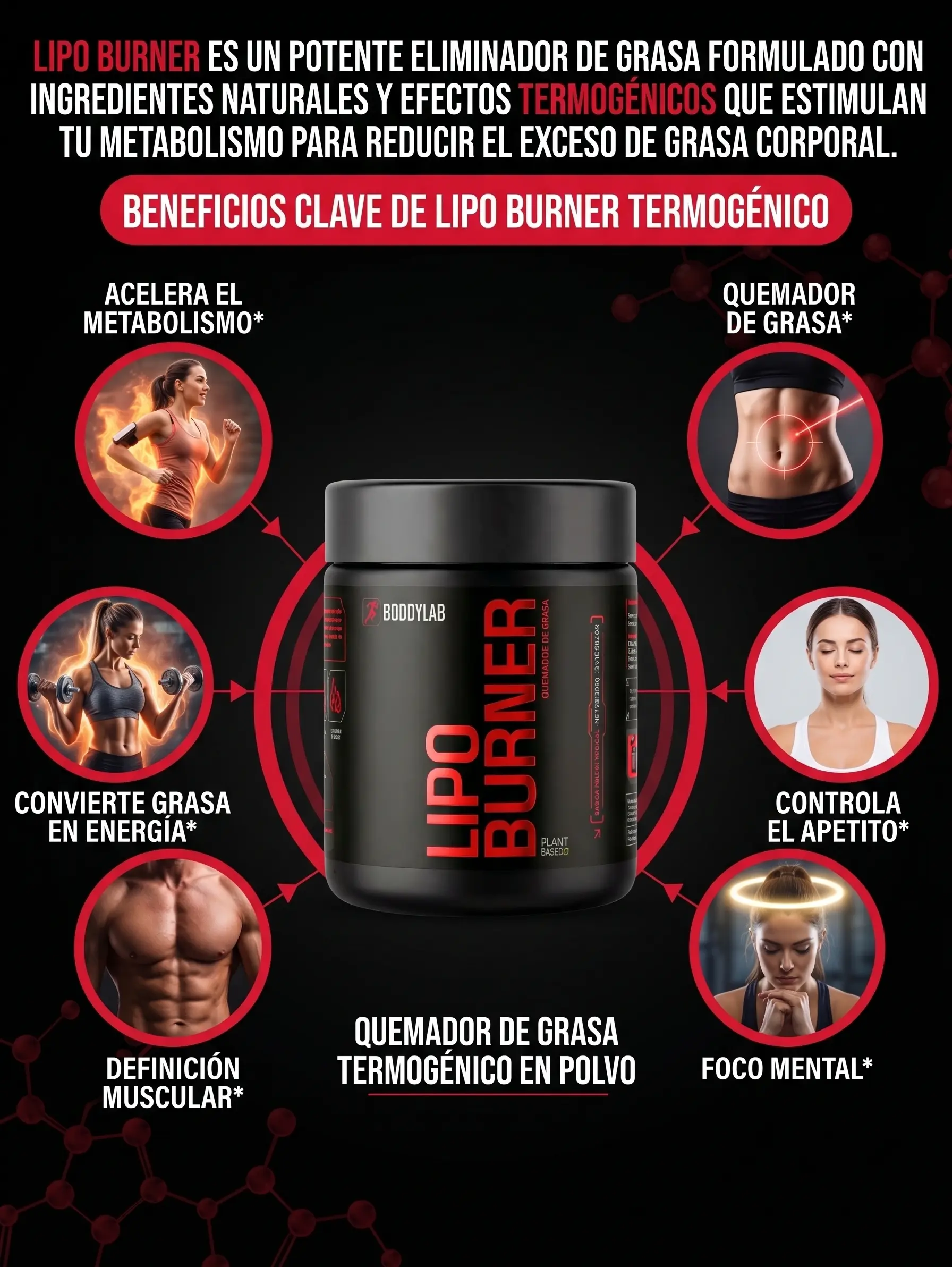 Información de LipoBurner - Sección 3