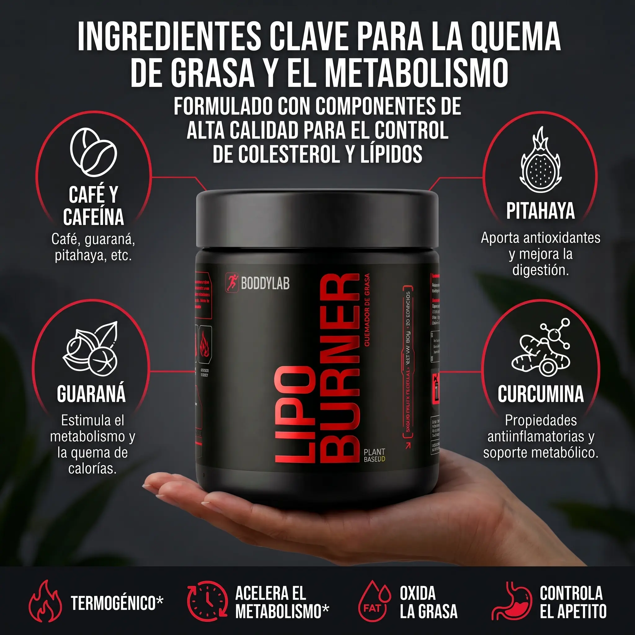 Información de LipoBurner - Sección 2